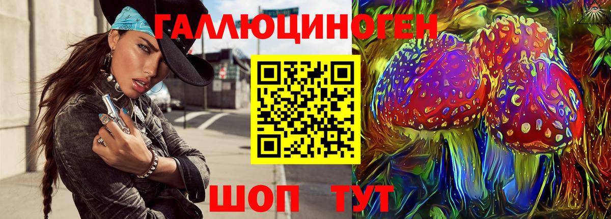 Псилоцибиновые грибы GOLDEN TEACHER Гурьевск