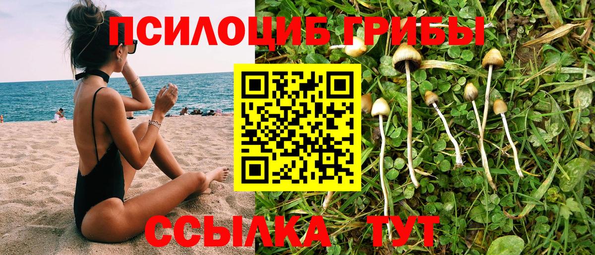 Гурьевск  Псилоцибиновые грибы прущие грибы  Вход с VPN 